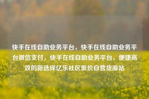快手在线自助业务平台，快手在线自助业务平台微信支付，快手在线自助业务平台	，便捷高效的新选择亿乐社区低价自营货源站  第1张